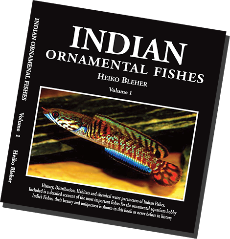 Indian Ornamental Fishes by Heiko Bleher